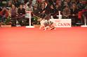 PDS - 0463
